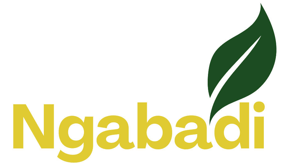 Ngabadi Foods logo